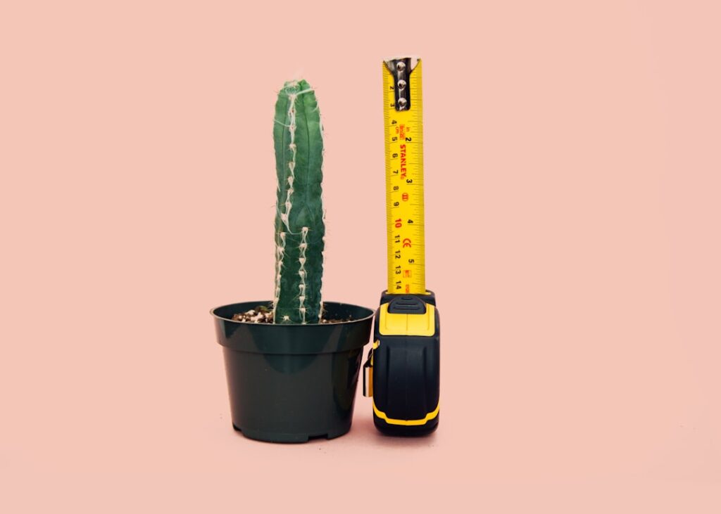 Hoeveel centimeter is 1 inch: omrekenen, voorbeelden en handige tips