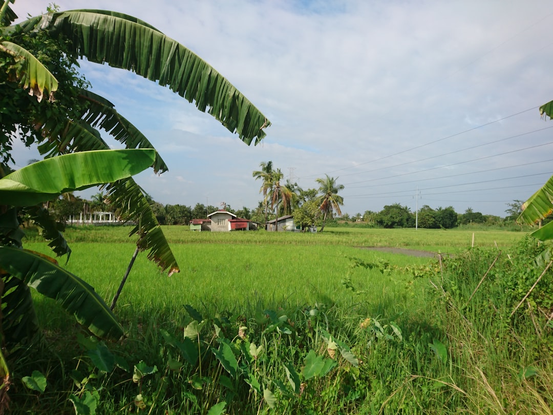 Hoe groot is 1 hectare? Een duidelijke uitleg over oppervlaktematen